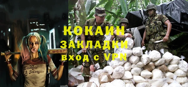 дмт Алзамай