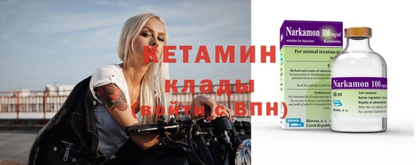 дмт Алзамай