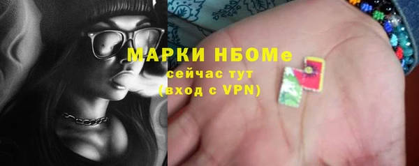 СК Алексин
