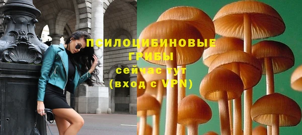 дмт Алзамай
