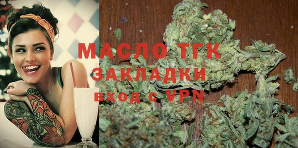 СК Алексин