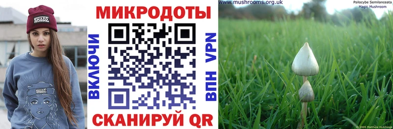 где можно купить Жигулёвск Галлюциногенные грибы GOLDEN TEACHER